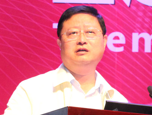 22-ICIS13- forum-wang yafei.JPG 22-ICIS13- forum-wang yafei.JPG